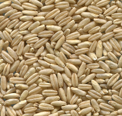 naked-oats-848959_400.jpg