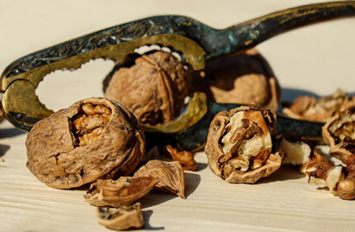 walnut-1751661_400.jpg